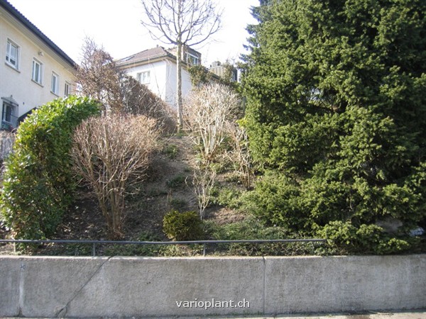 Mauer mit Böschung (vorher)